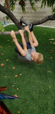 good climbing peach tree